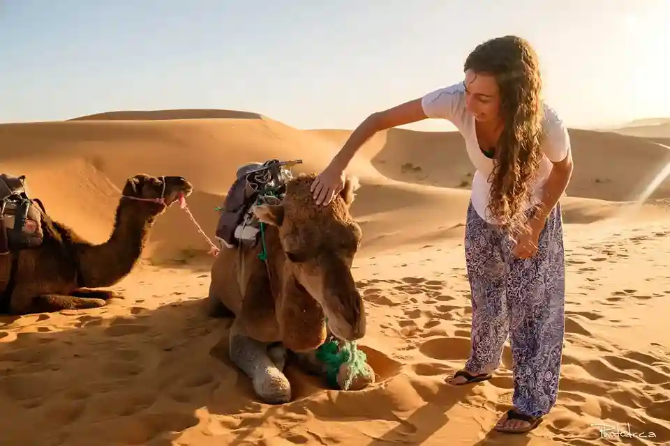 Merzouga Camel Trekking