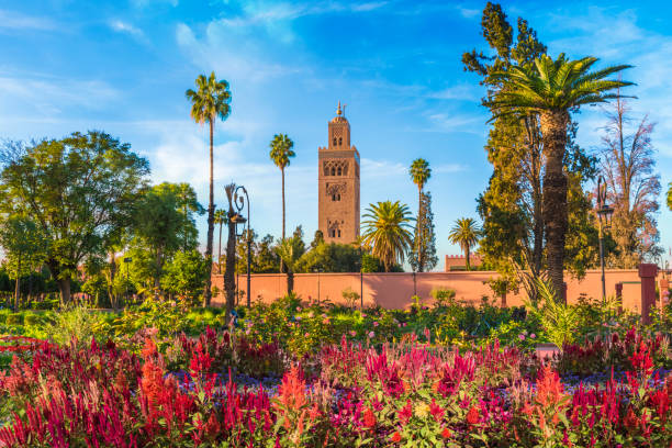 Marrakech private tours