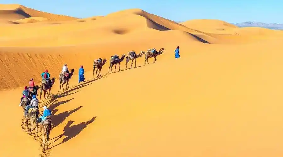 Marrakech luxury desert tour