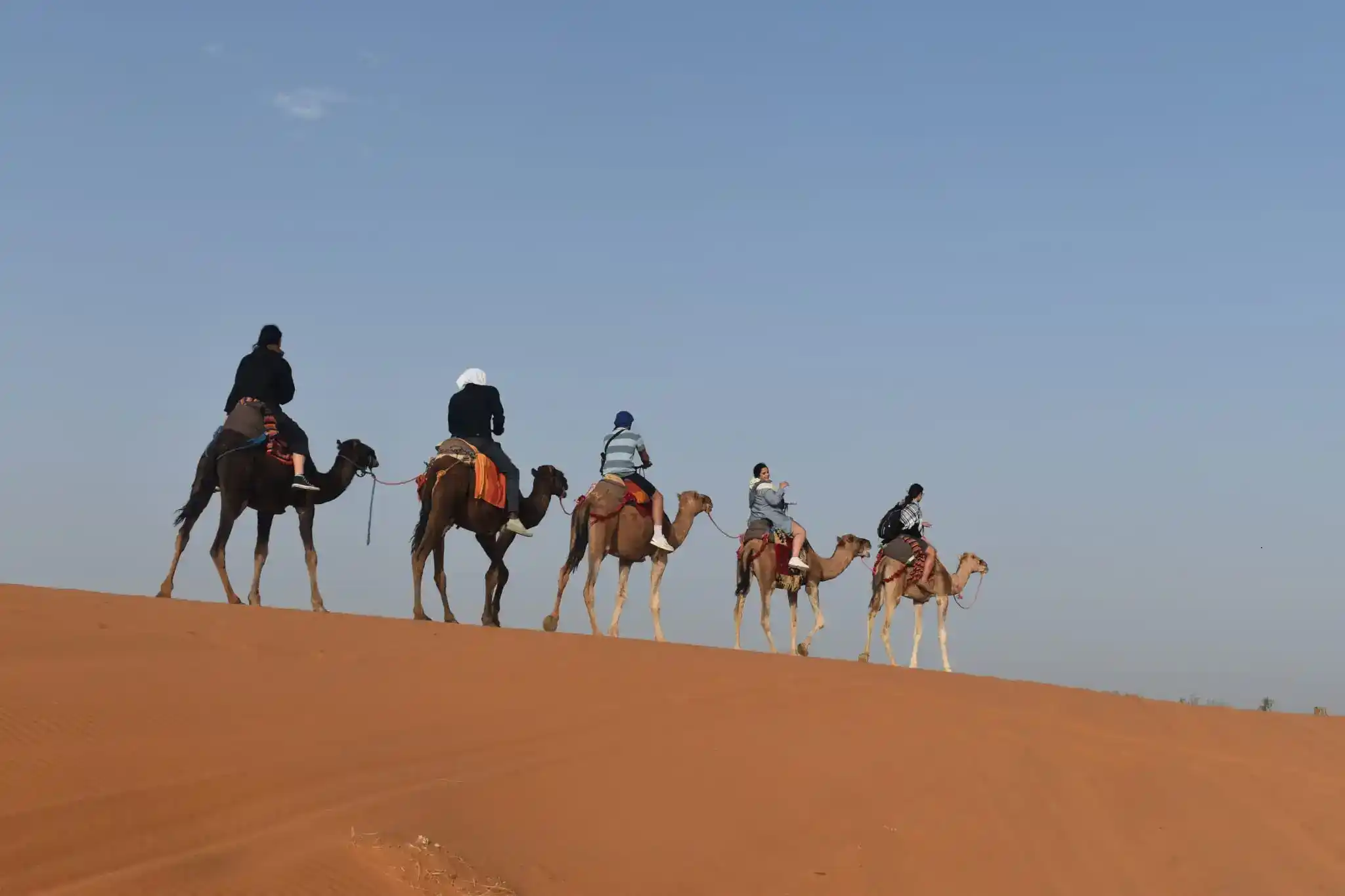 Camel trekking Morocco