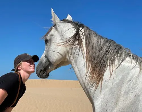 Morocco horse riding experiences