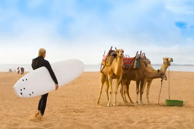 Morocco surf tours