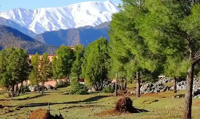 Fez historical sites