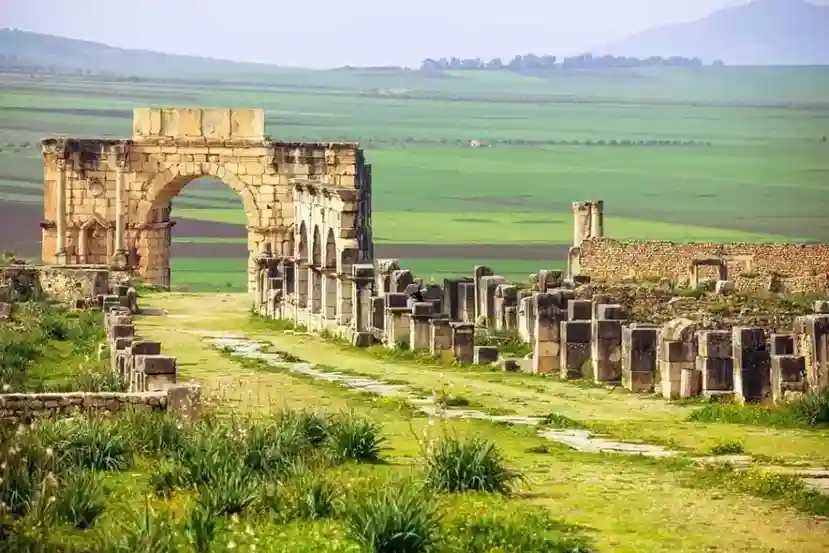 Fez to Volubilis private tour