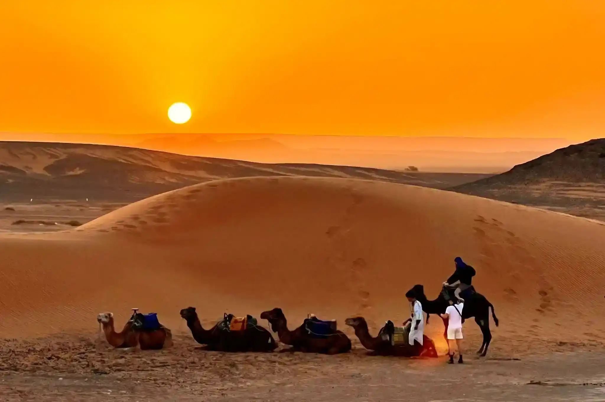 Morocco desert adventure tours